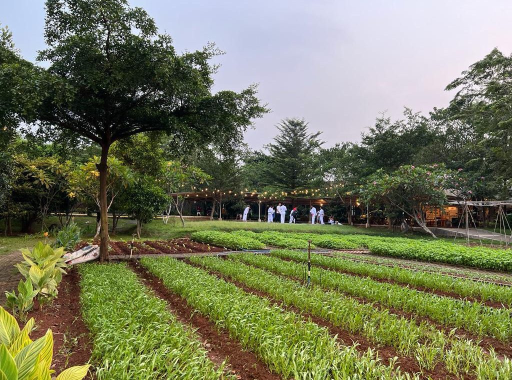 WhatsApp Image 2024-02-20 at 22.57.21 (1)