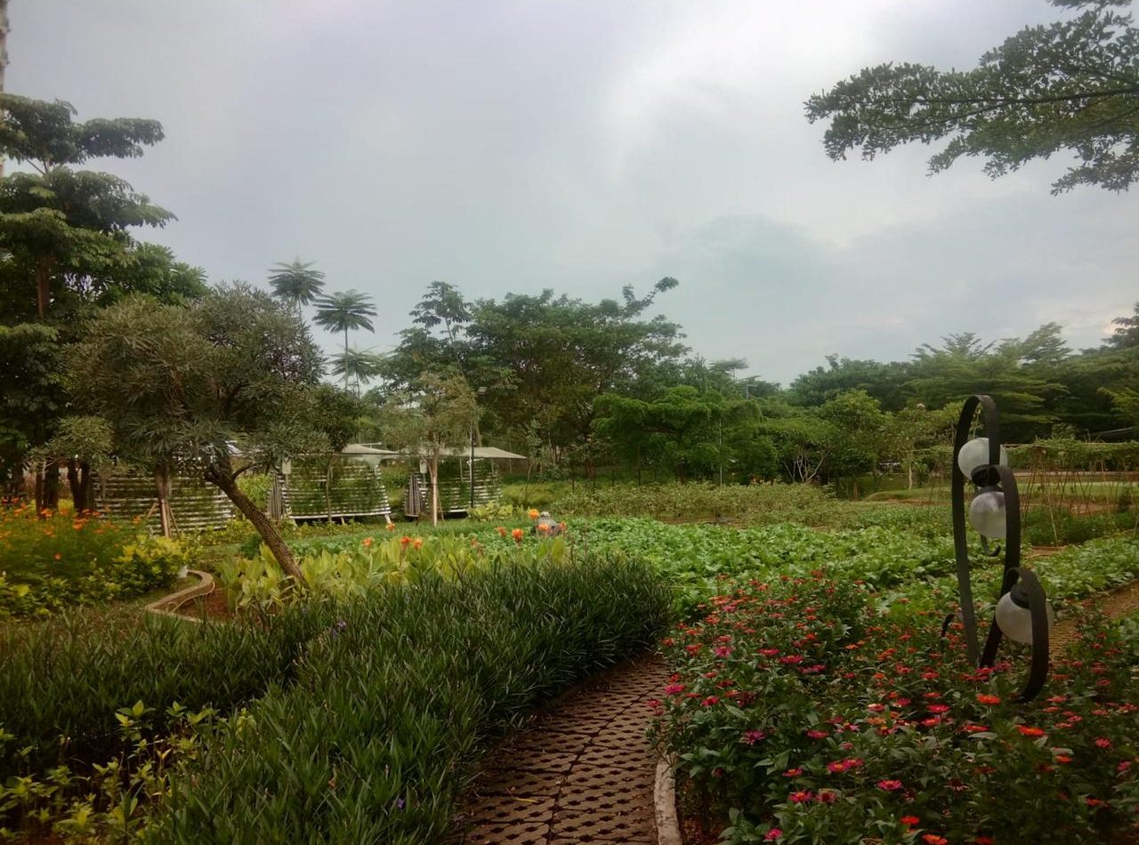 WhatsApp Image 2024-02-20 at 22.57.22