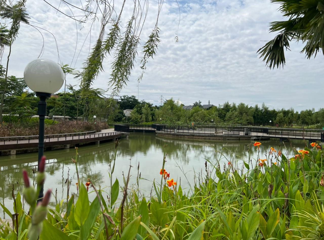 WhatsApp Image 2024-02-20 at 22.57.23 (1)